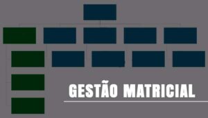 GESTÃO-MATRICIAL